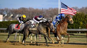 Aqueduct, Noel Michaels handicapping, Americas Best Racing Sunday Selections